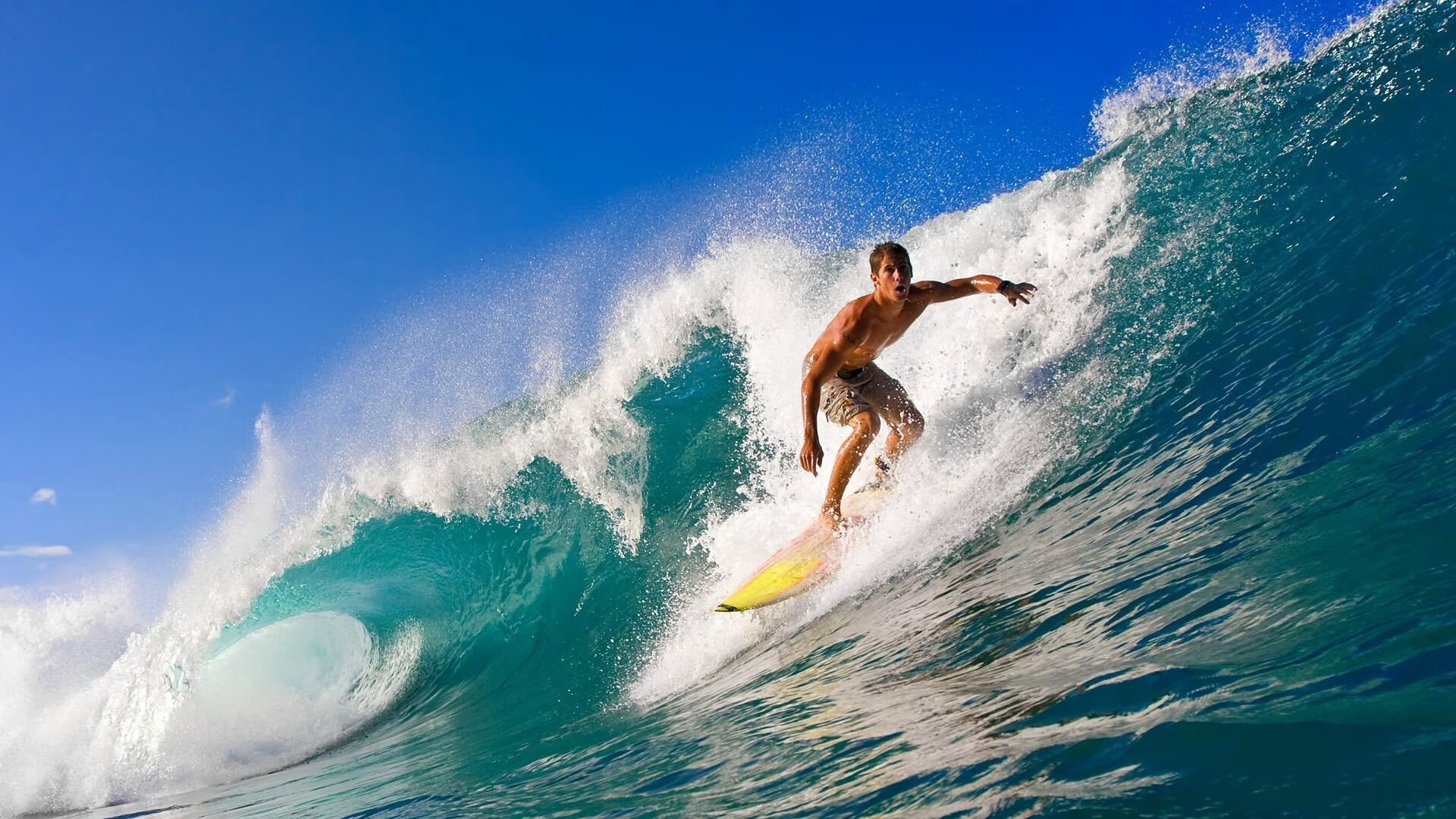 体育新闻中心主办智慧体育创新论坛，智慧体育赛事