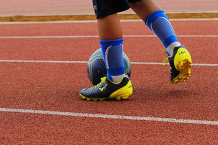 华体会登录入口-明星球员带动体育产业发展，打造体育明星的弊端